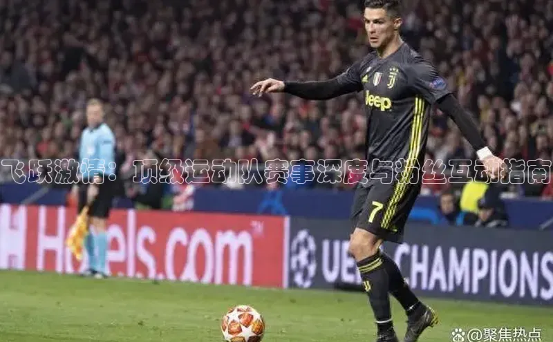 beat365·体育官网